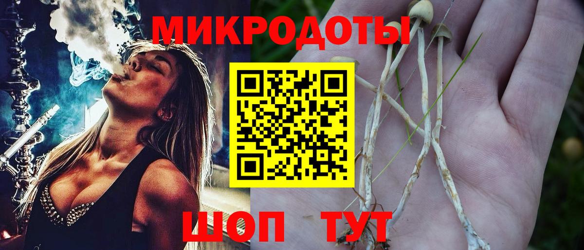 Белгород  Псилоцибиновые грибы мицелий  Вход с VPN 